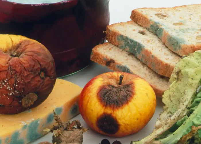 上海過期了食品銷毀記錄