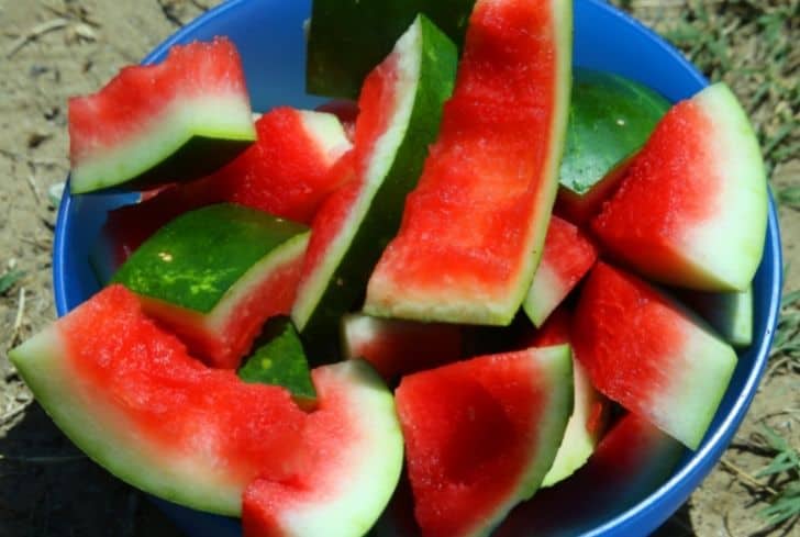 西瓜皮不僅能堆肥還能這么用！